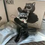 Ароматизатор Pilot Husky black 42342